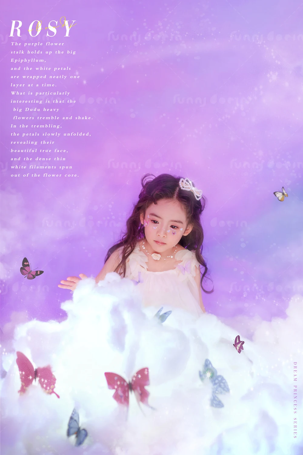 全家福 芳妮豆丁