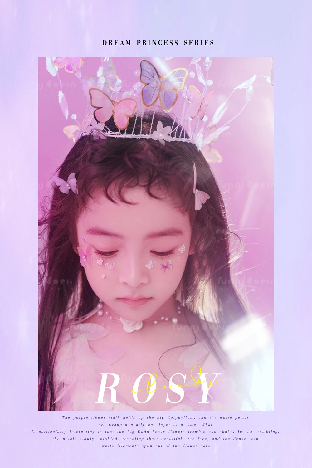 全家福 芳妮豆丁