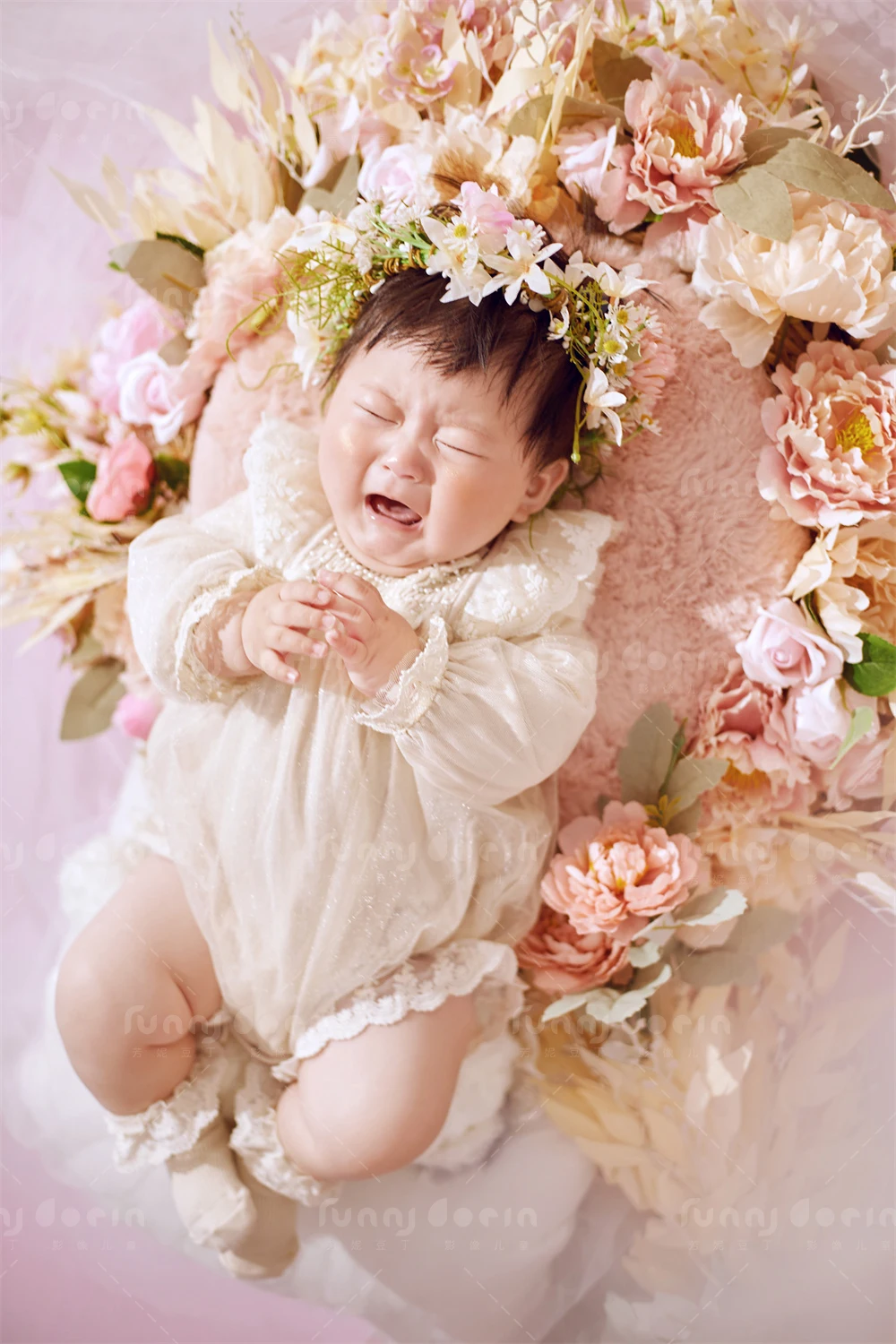 全家福 芳妮豆丁