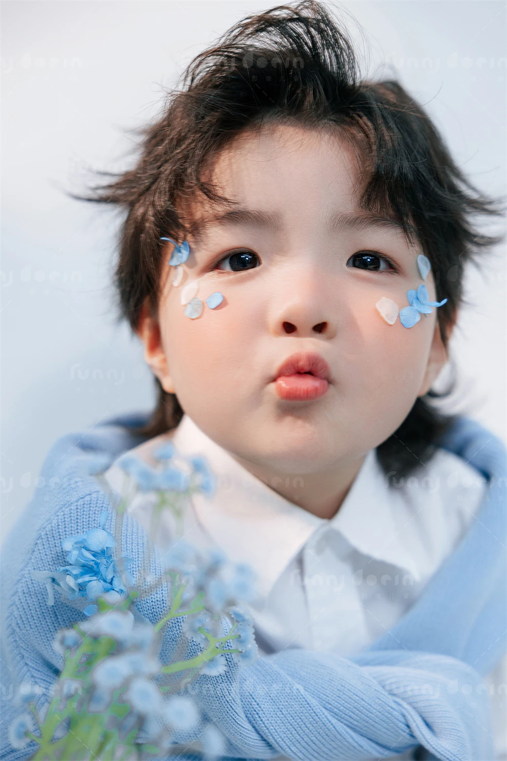 全家福 芳妮豆丁