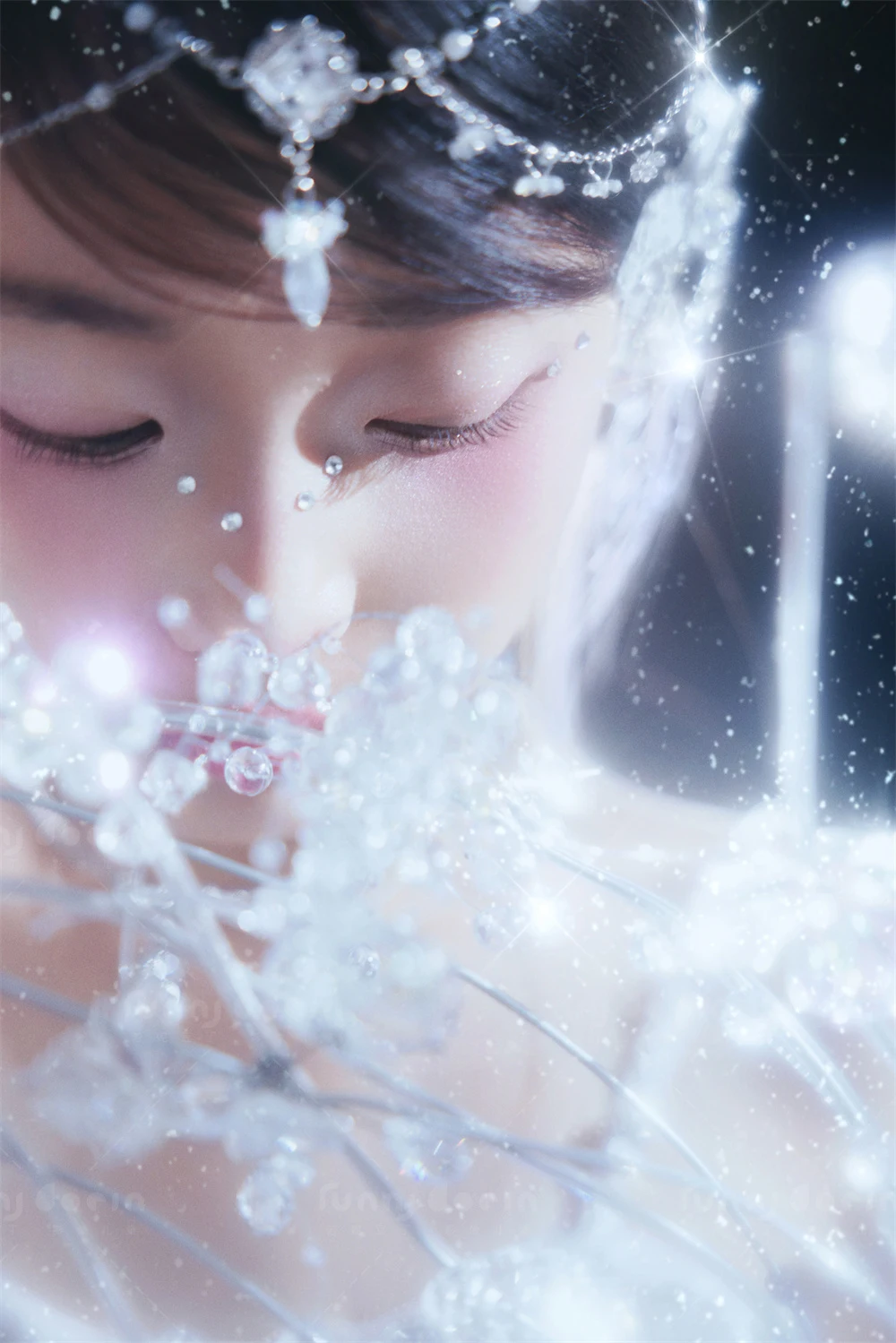全家福 芳妮豆丁