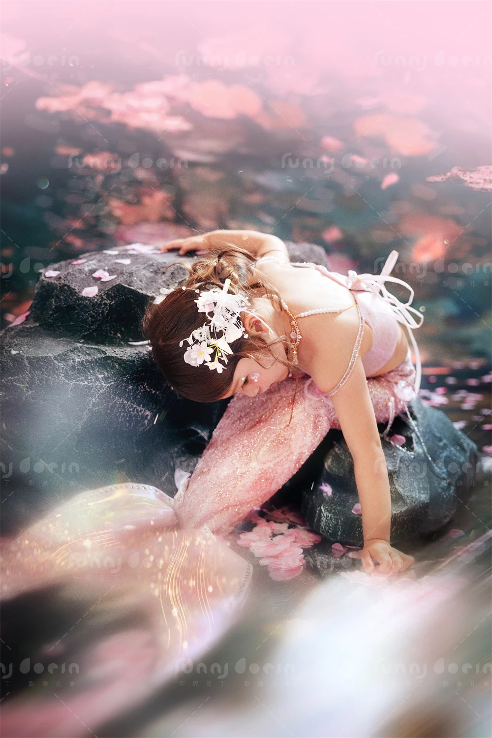 全家福 芳妮豆丁