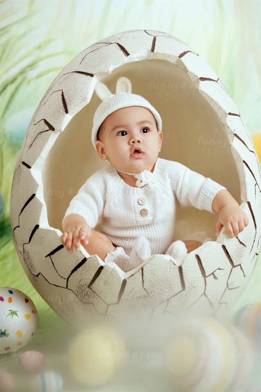 全家福 芳妮豆丁