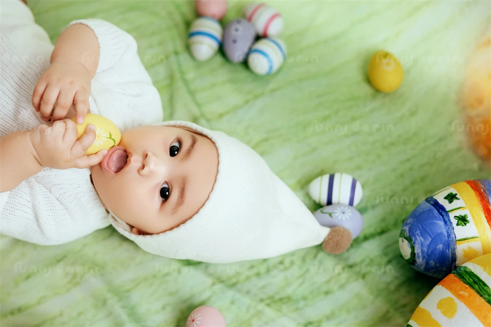 全家福 芳妮豆丁