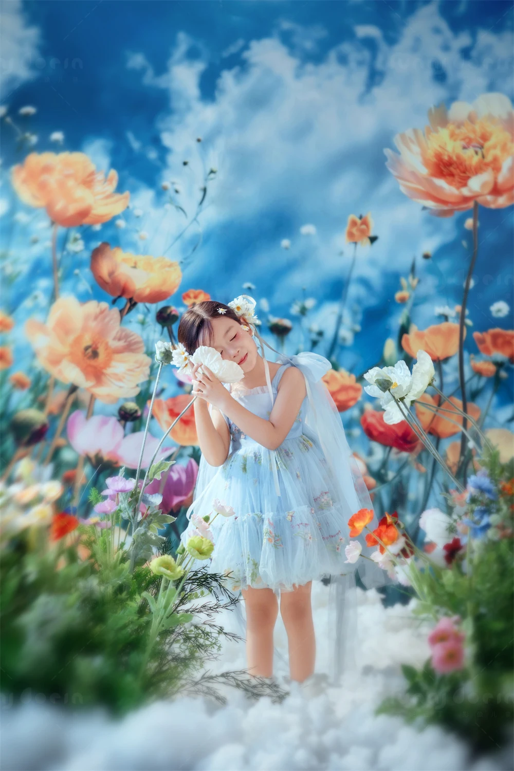 全家福 芳妮豆丁