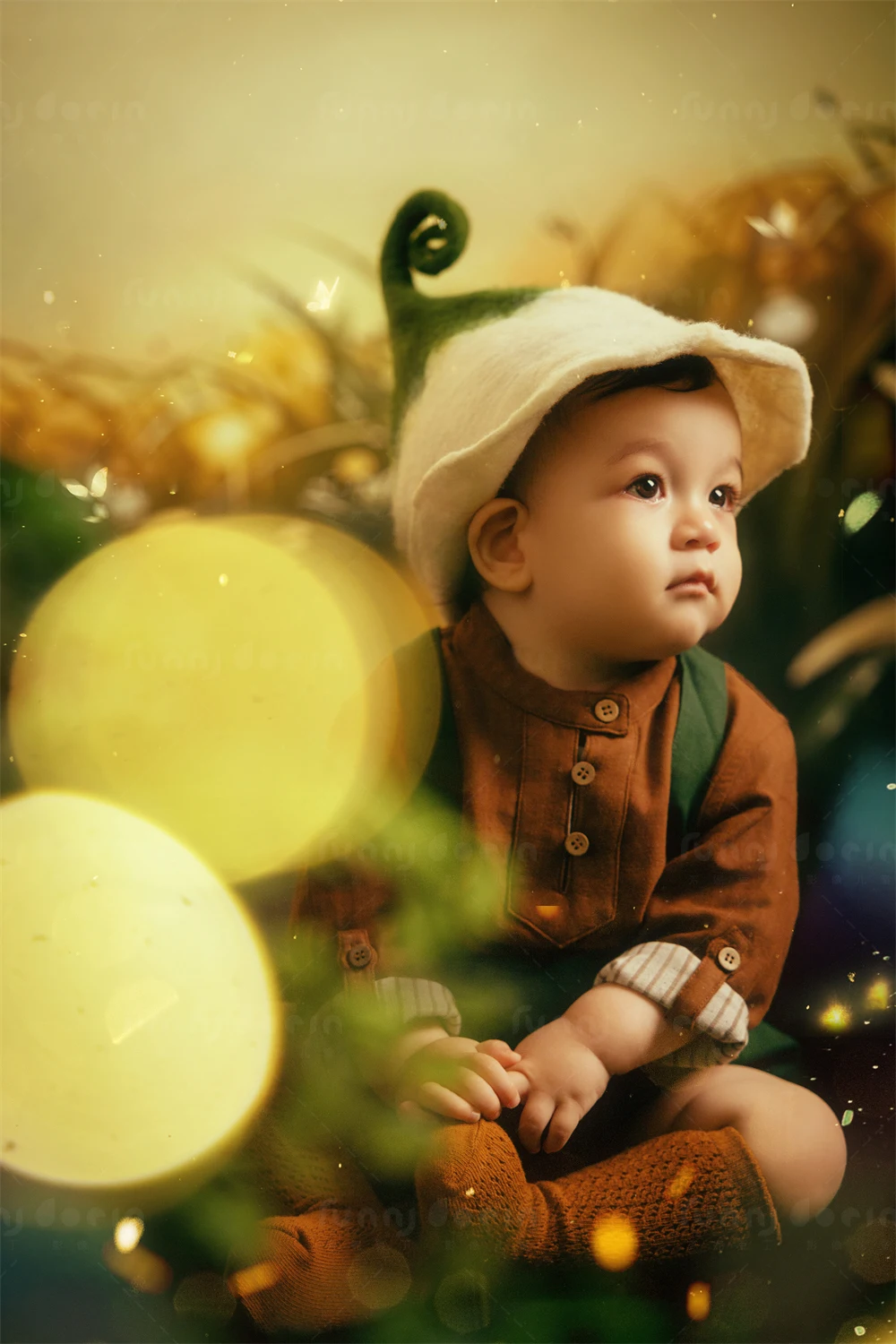 全家福 芳妮豆丁