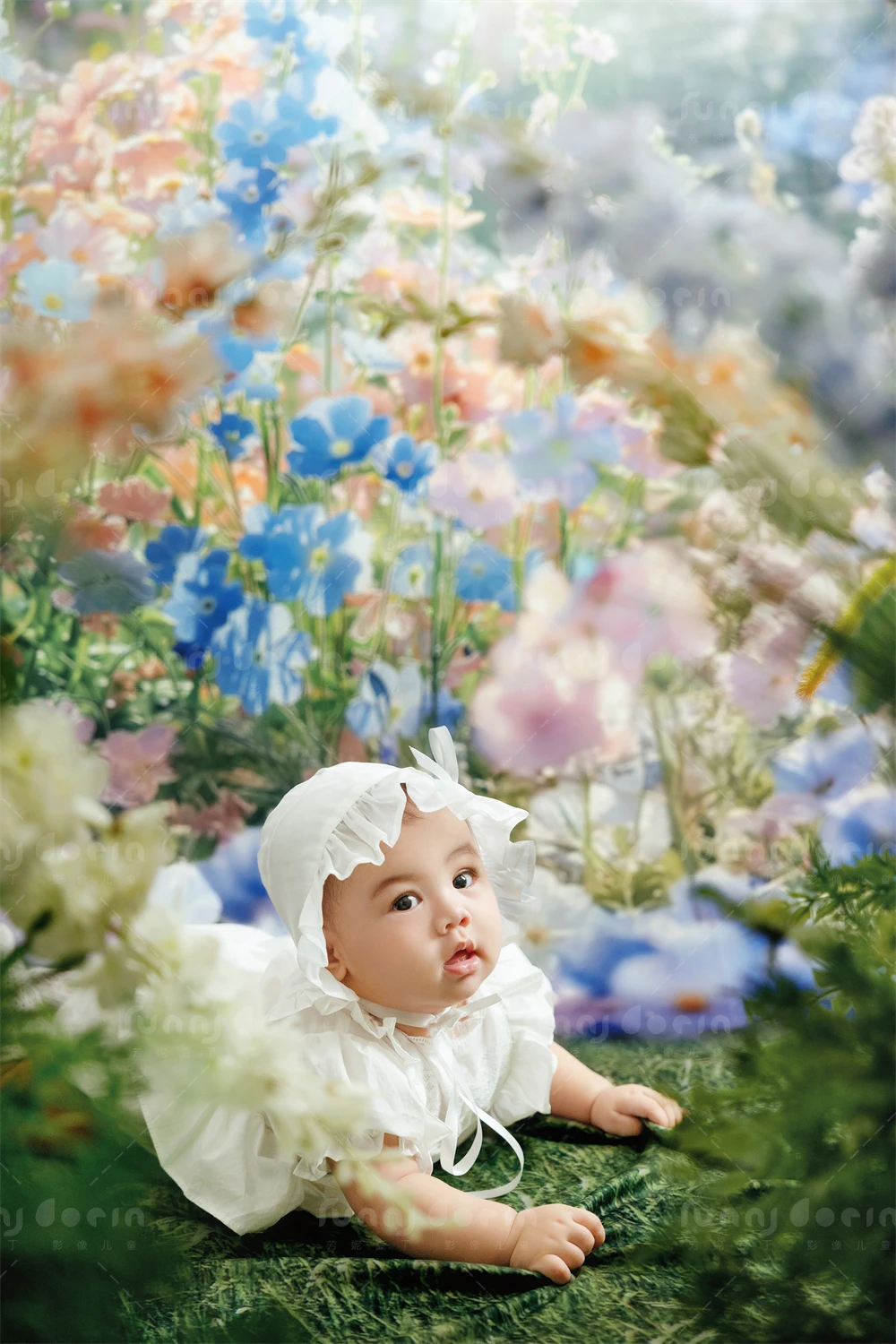 全家福 芳妮豆丁