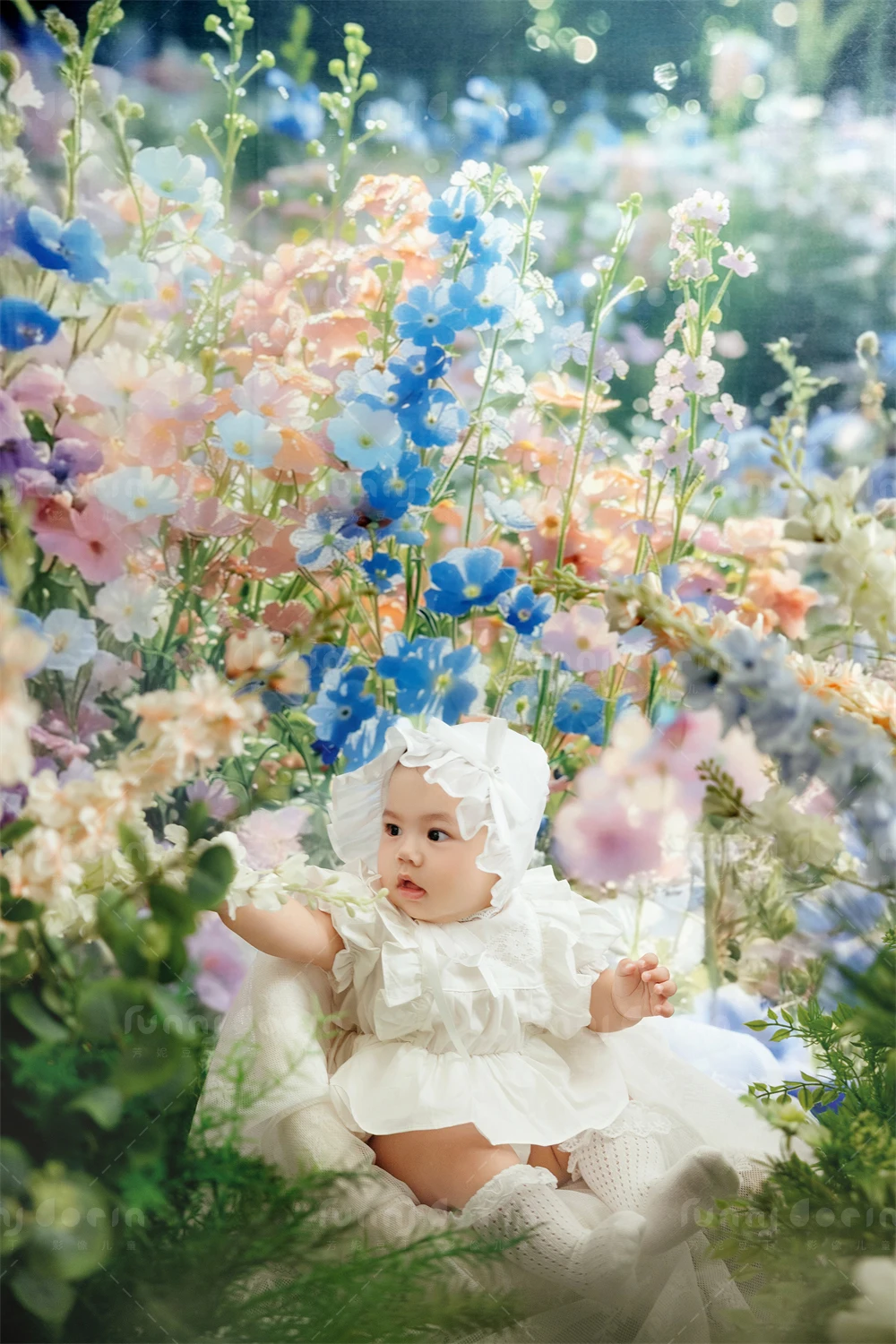 全家福 芳妮豆丁