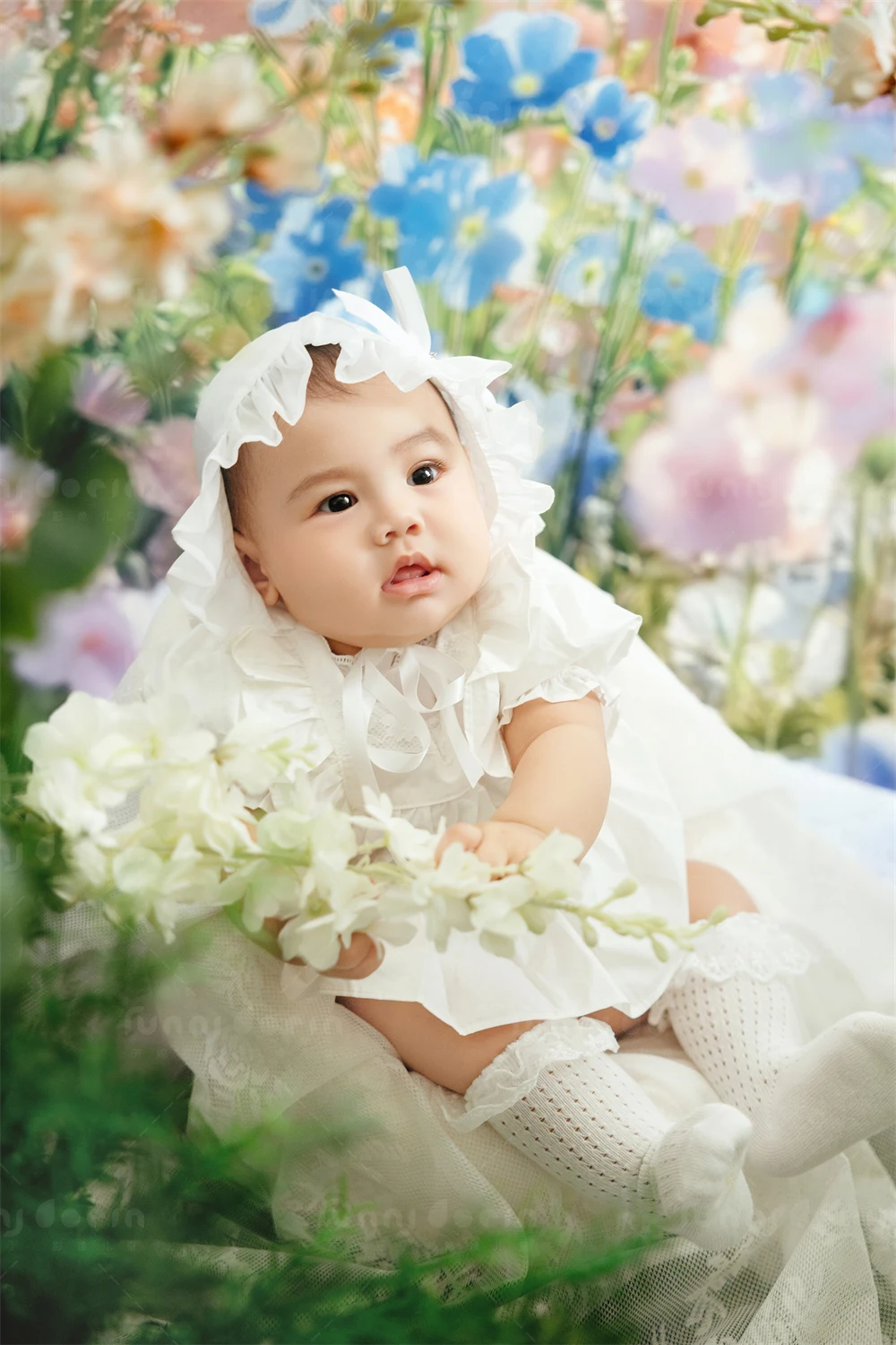 全家福 芳妮豆丁