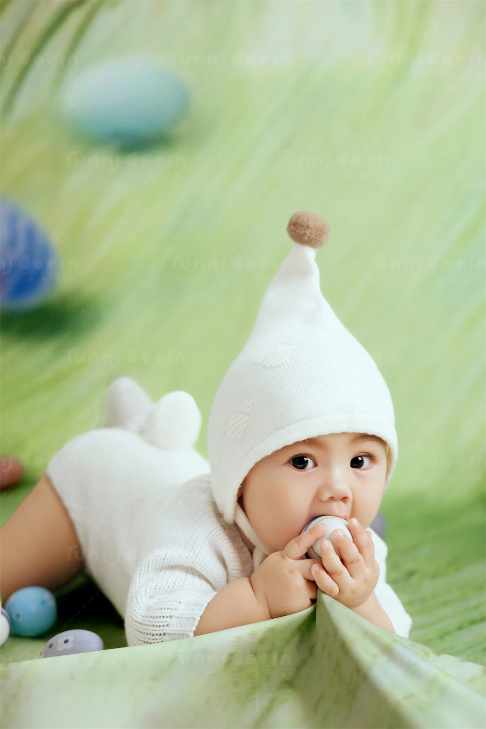 全家福 芳妮豆丁