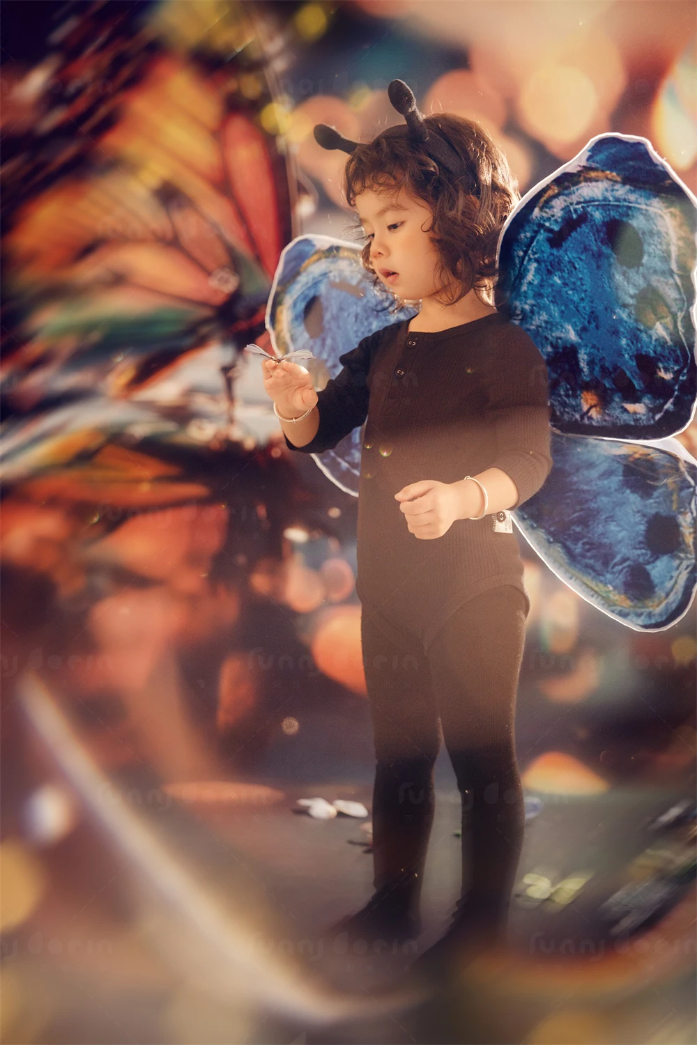 全家福 芳妮豆丁