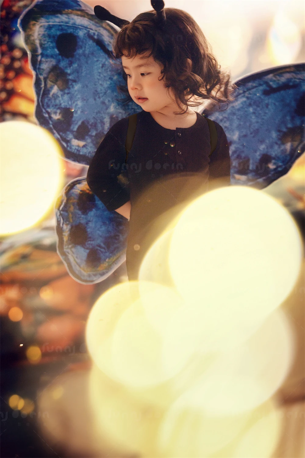 全家福 芳妮豆丁