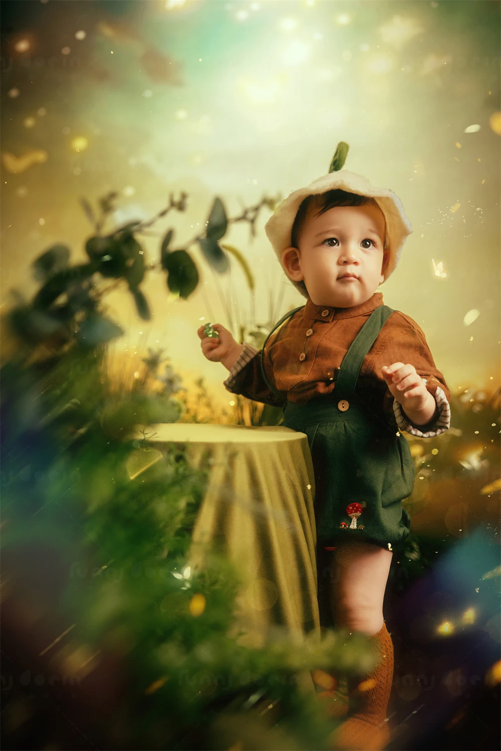 全家福 芳妮豆丁