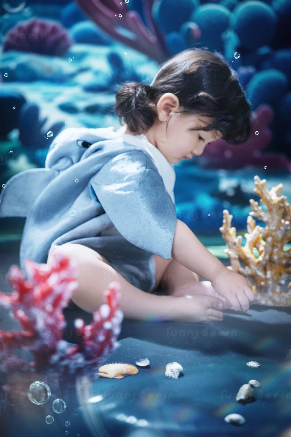 全家福 芳妮豆丁