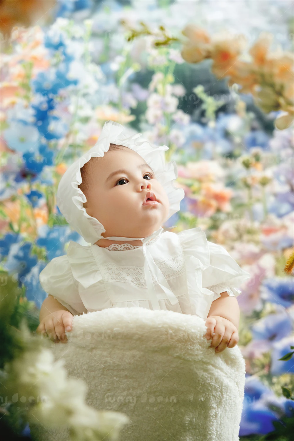 全家福 芳妮豆丁