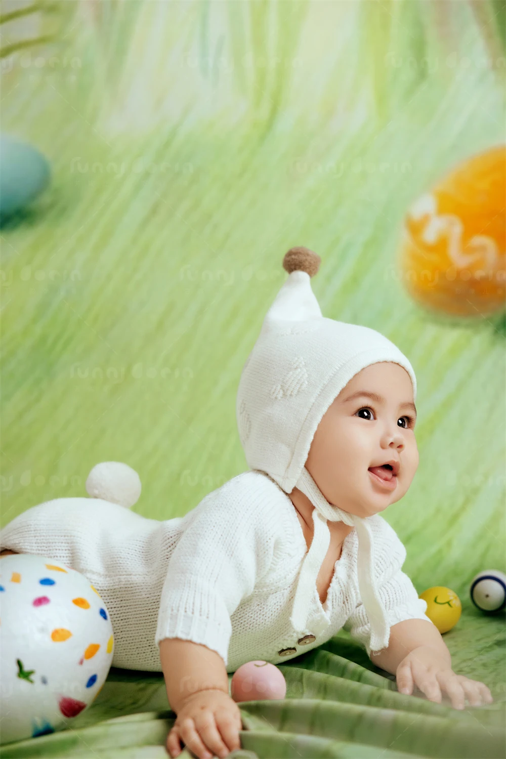 全家福 芳妮豆丁