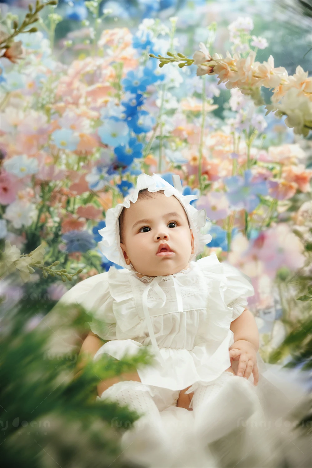 全家福 芳妮豆丁