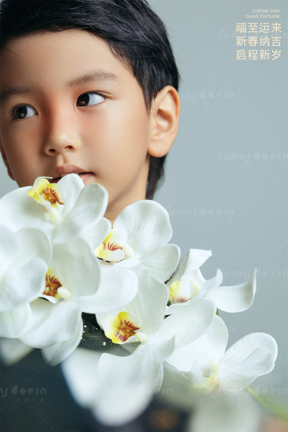 全家福 芳妮豆丁