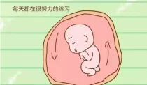 胎儿在妈妈肚子里干什么？