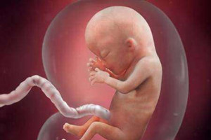 芳妮豆丁小知识：为什么有的孕妇照胎动厉害，有的就很安静？3个原因值得看一看