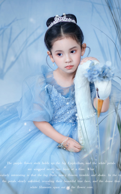 武汉芳妮豆丁儿童摄影 艾莎公主