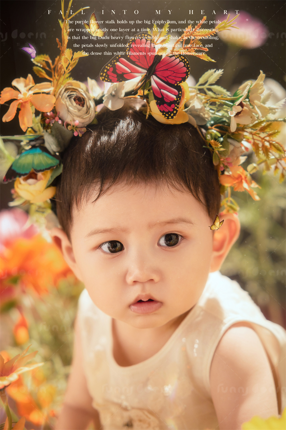 芳妮豆丁儿童摄影 春·信