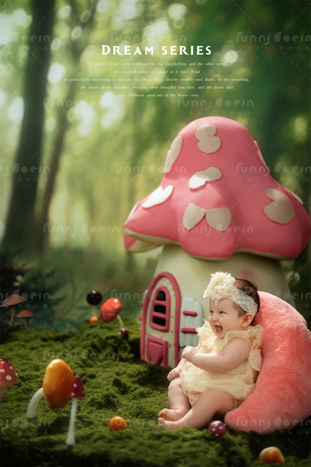 芳妮豆丁儿童摄影 蘑菇森林