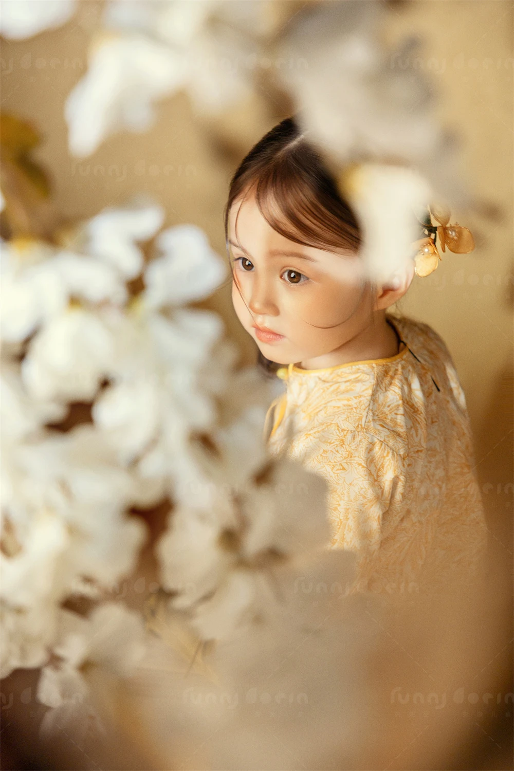 芳妮豆丁儿童摄影 金童花叙